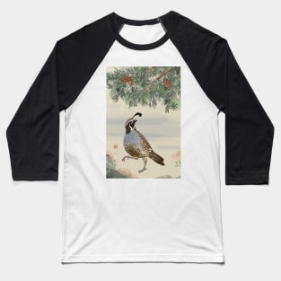 Fuyu Quail Baseball T-Shirt